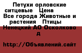 Петухи орловские ситцевые › Цена ­ 1 000 - Все города Животные и растения » Птицы   . Ненецкий АО,Осколково д.